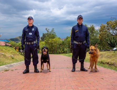 vigilancia-con-perros-bogota